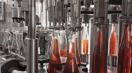 Bild - Die ersten 2025er Weine